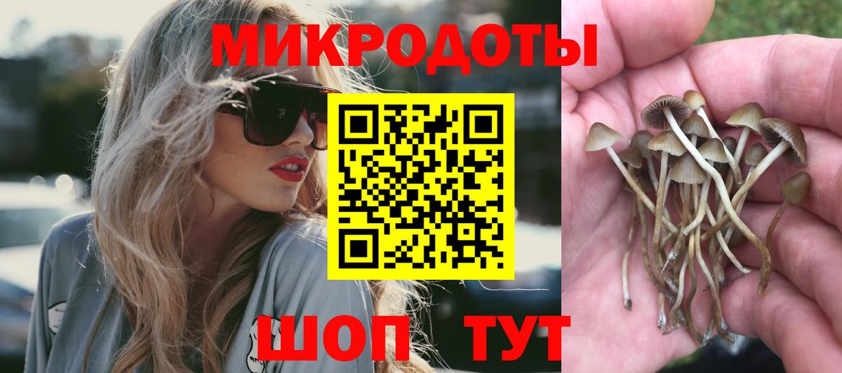 Псилоцибиновые грибы Psilocybine cubensis Озёры